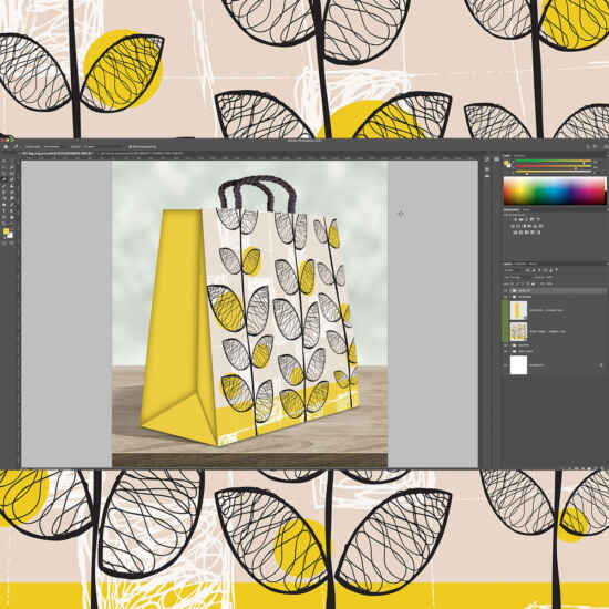 Gift Bag and Wrap Mock-ups with Mark Knowles online design course