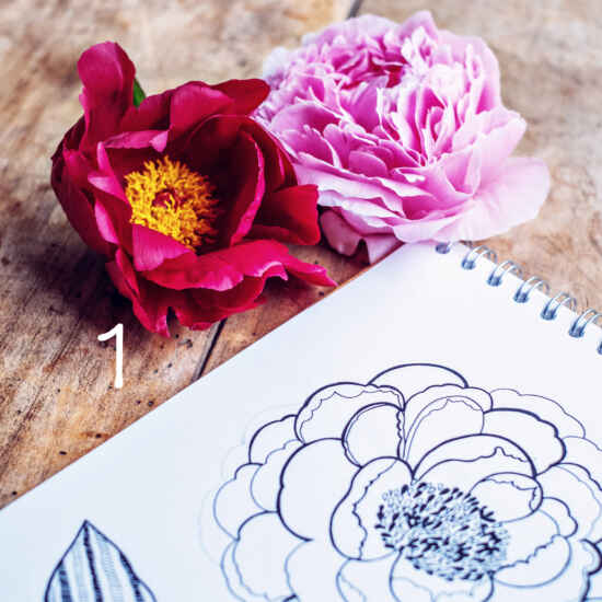 7 Day Floral Drawing Challenge 1 online design course