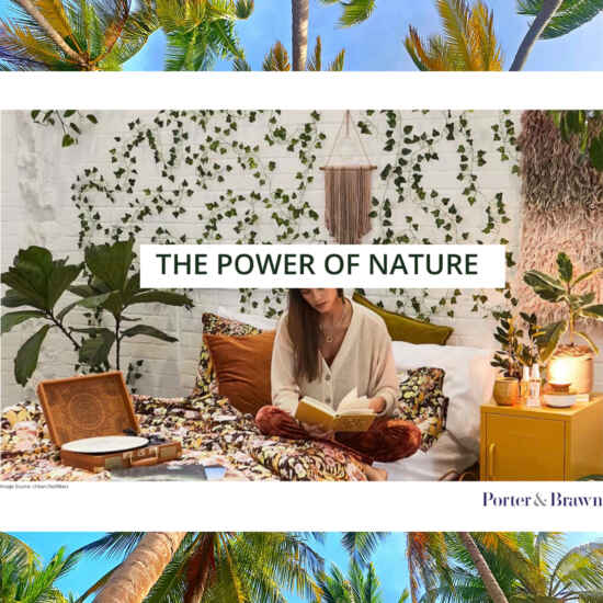 The Power of Nature with Trends Experts Porter and Brawn online design course